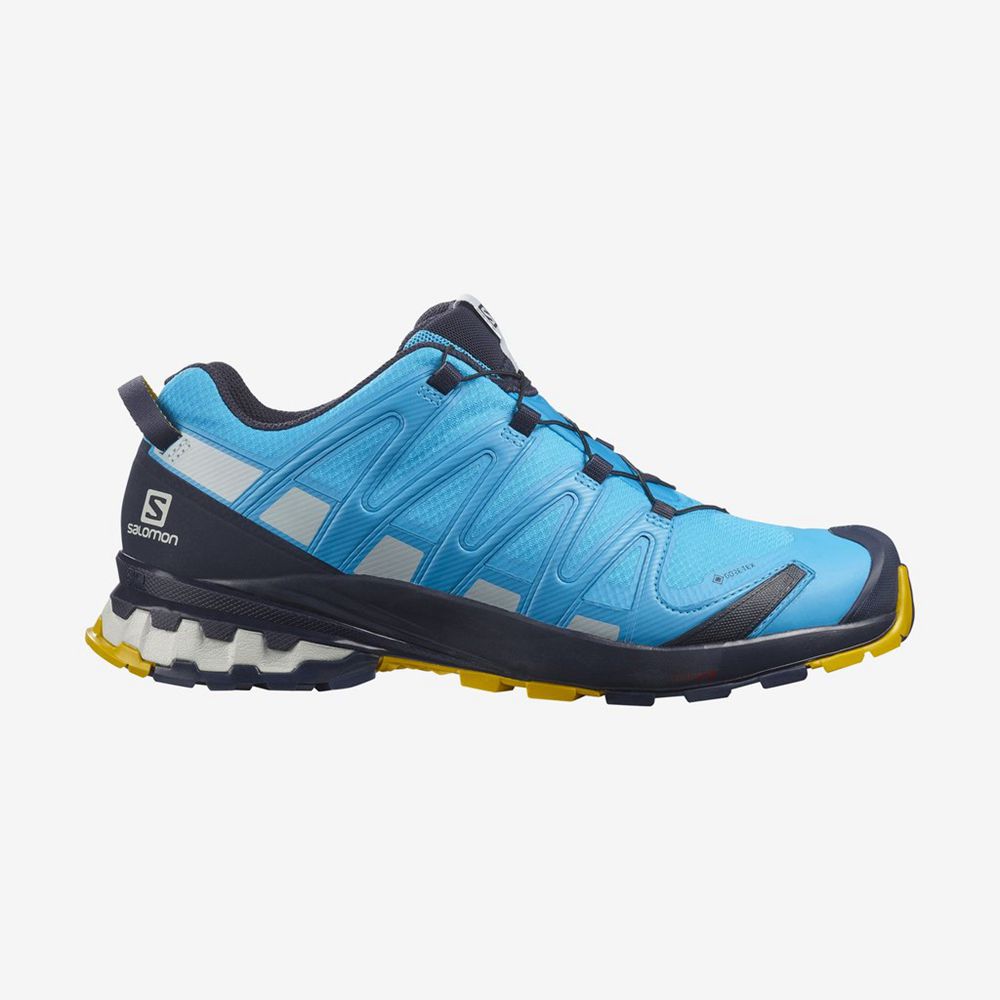 Zapatillas Trekking Salomon Hombre Azules - Salomon Argentina XA PRO 3D V8 GORE-TEX ,849032-KZC